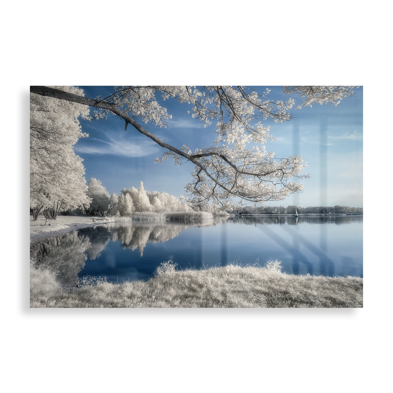 Beautiful winter landscape