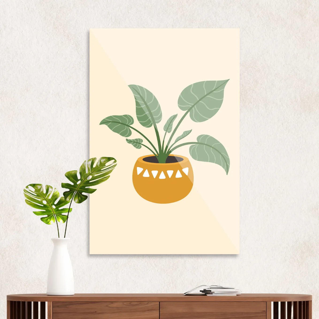 Small monstera in pot