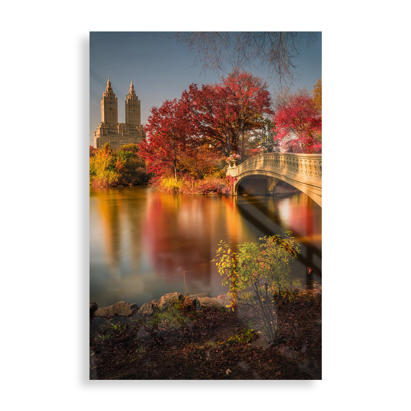 Autumn in Central Park