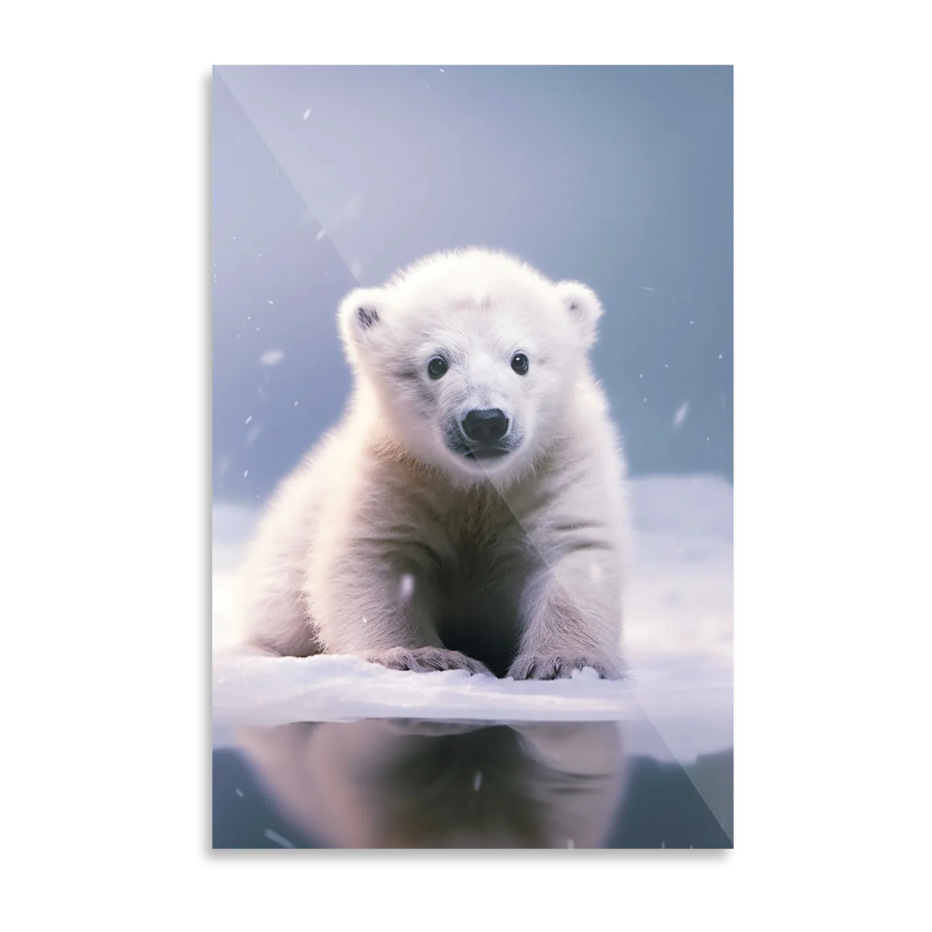 Polar bear cub