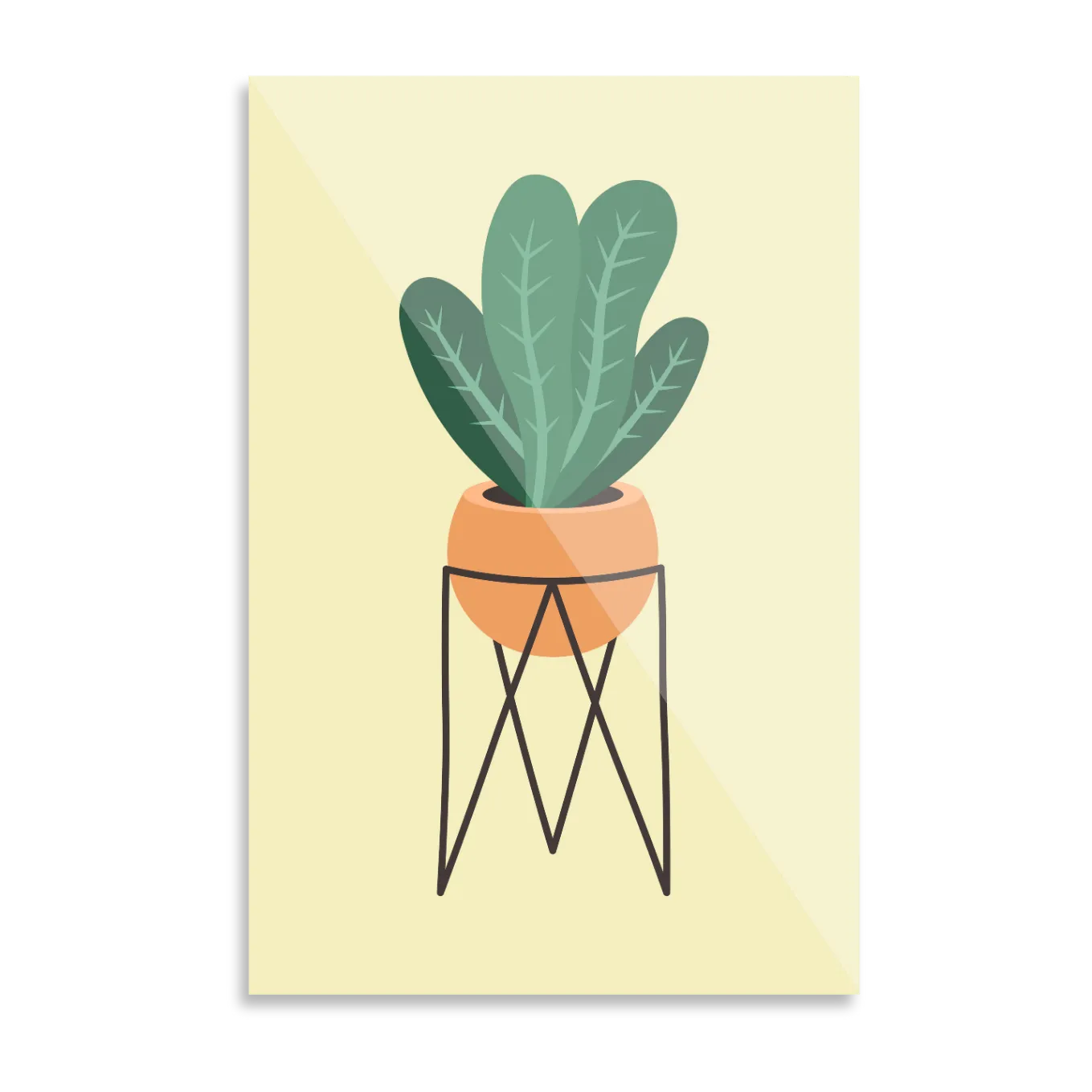 Plante i potte