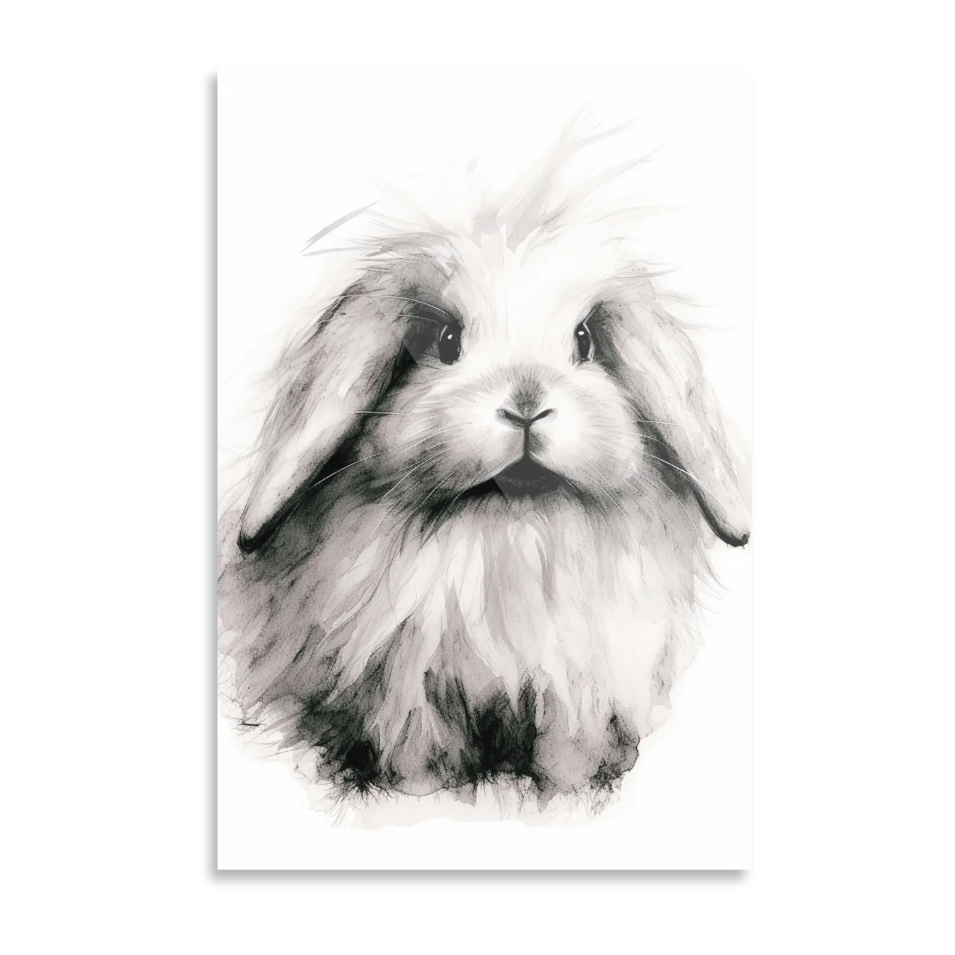 Rabbit 2