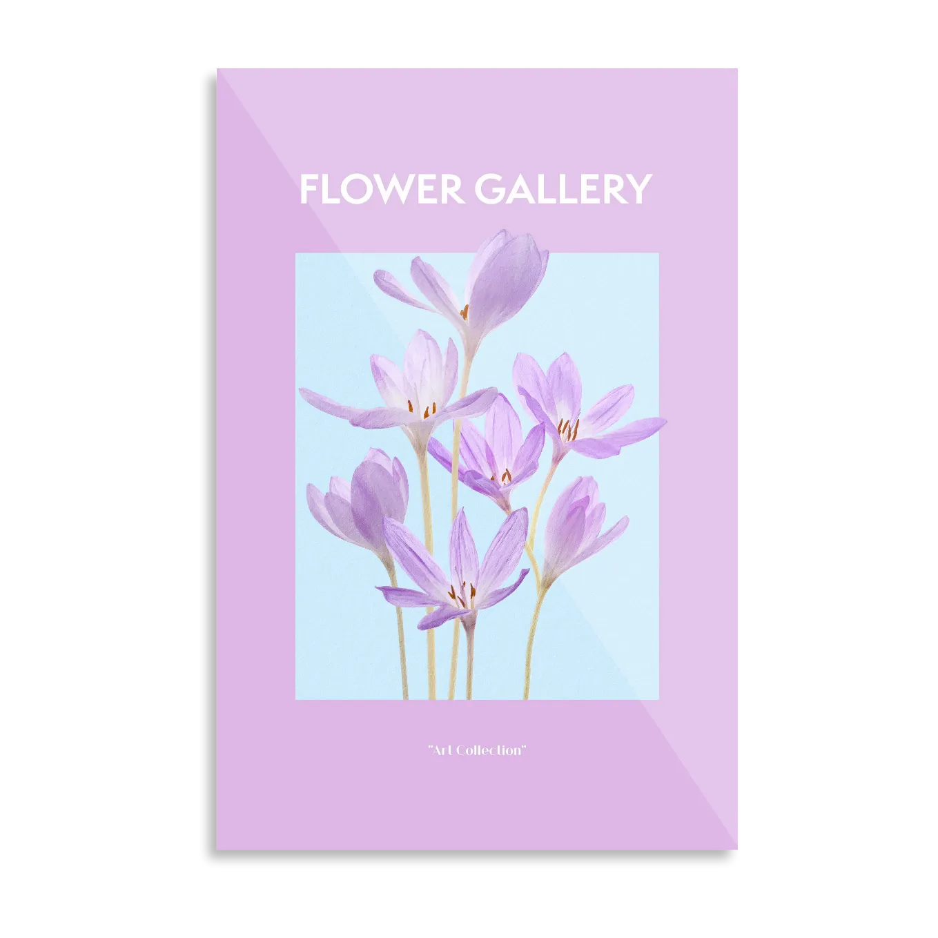 Purple flowers