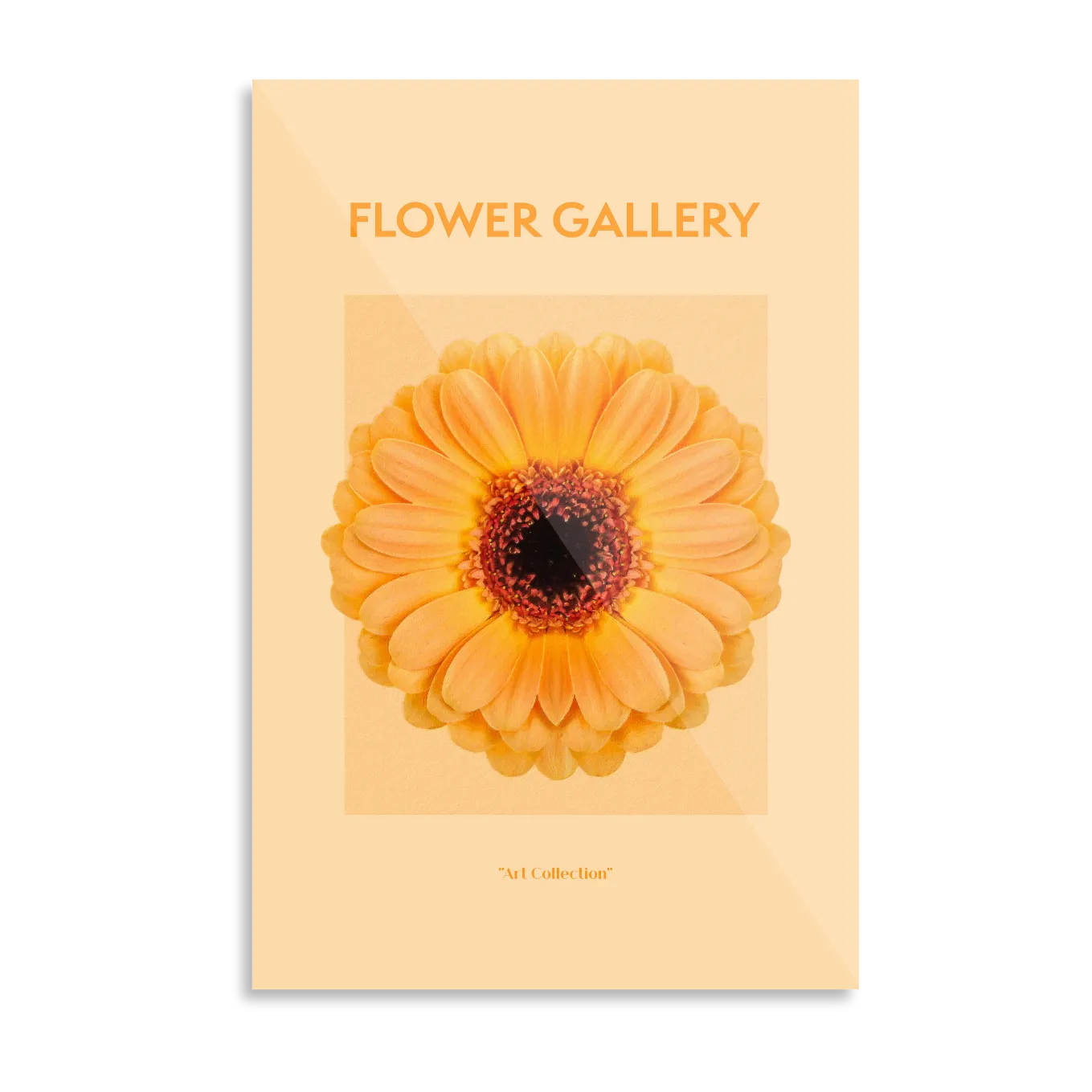 Bright orange flower