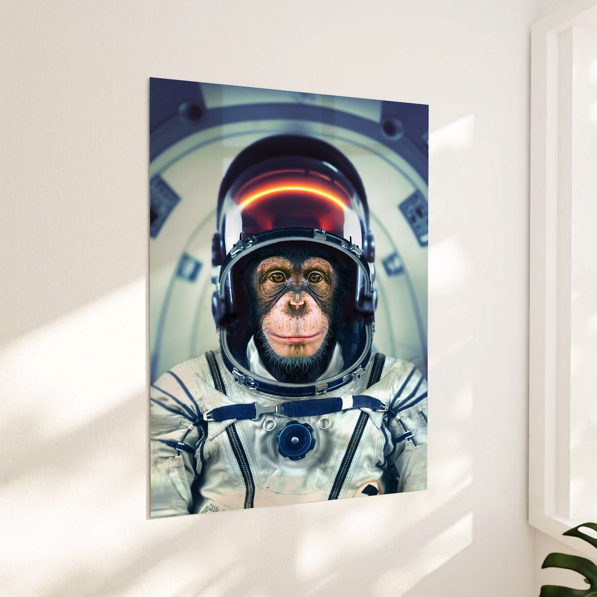 Astronaut monkey