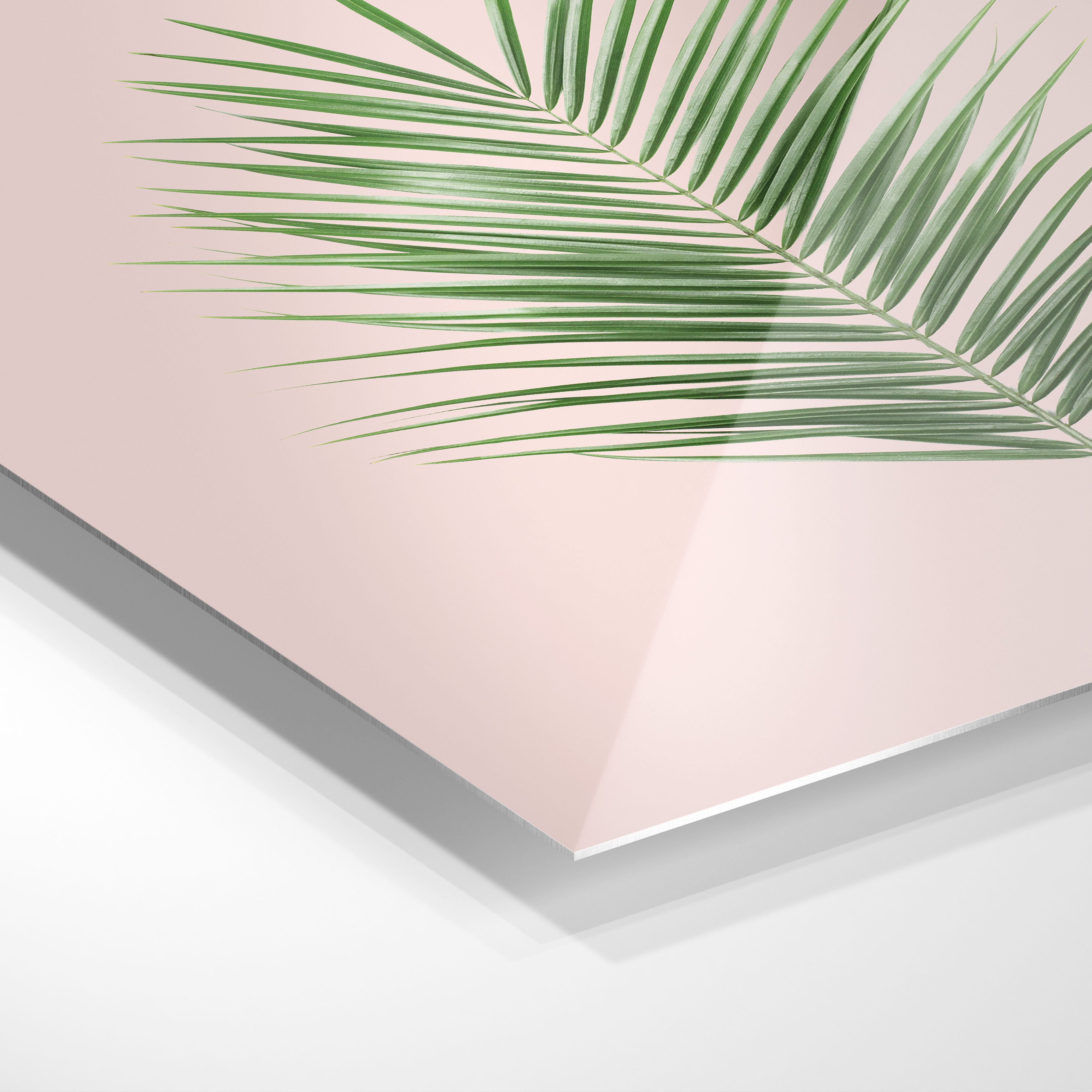 Palm leaf
