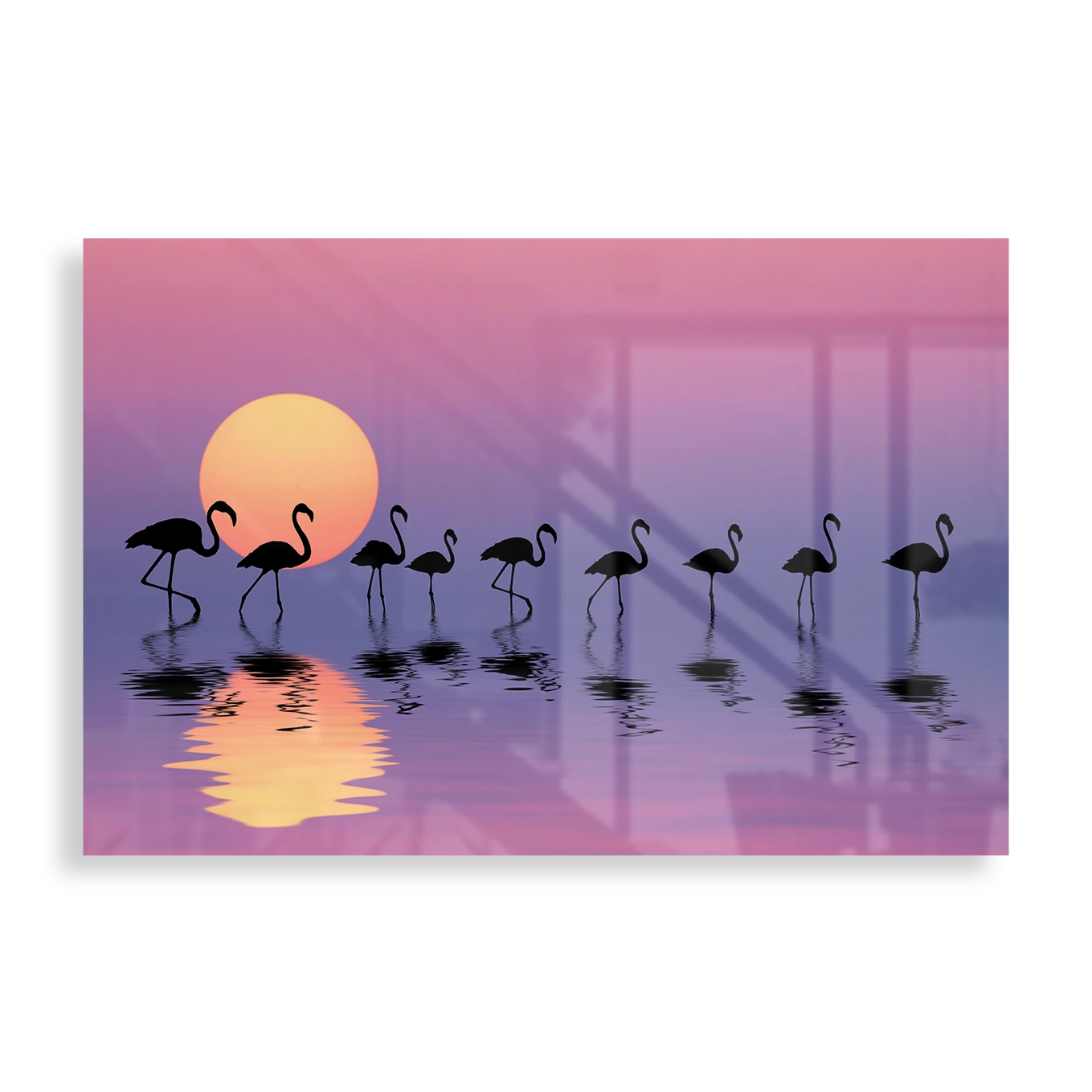 Family of flamingos