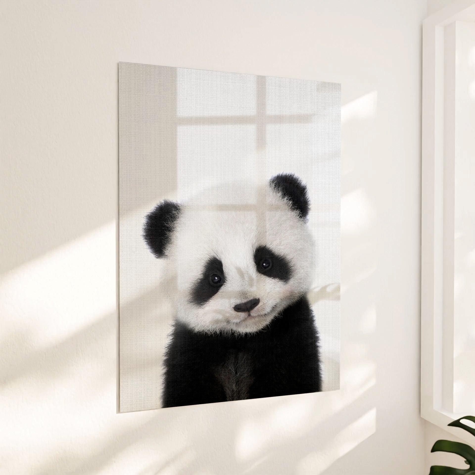 Lille panda