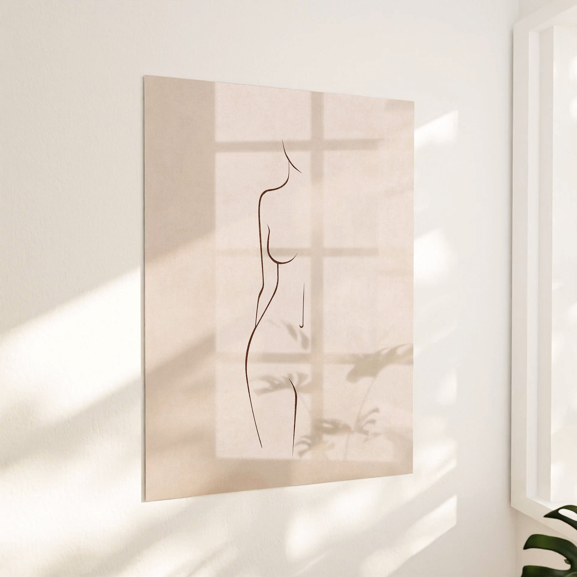 Body silhouette