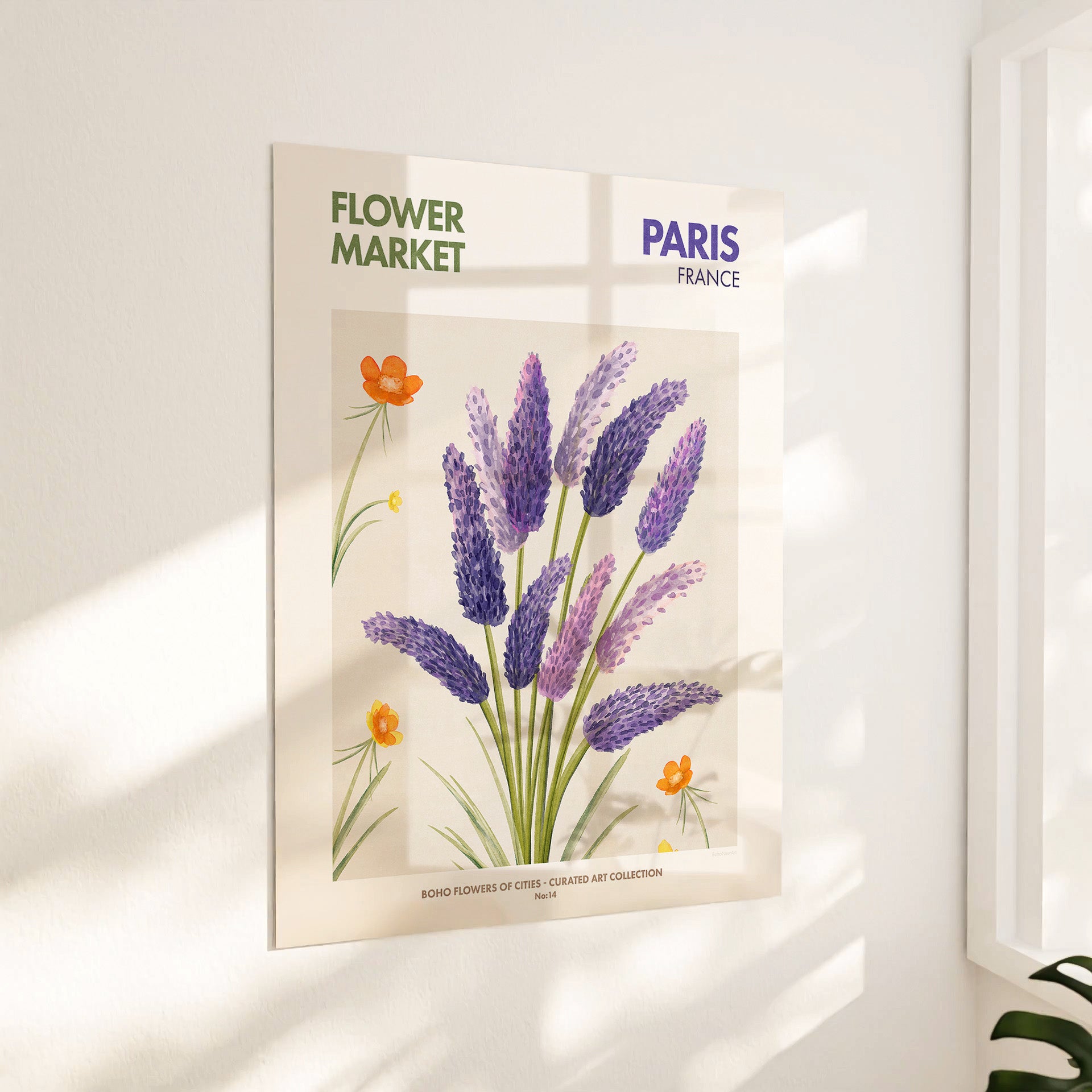 Flower Markert, Paris