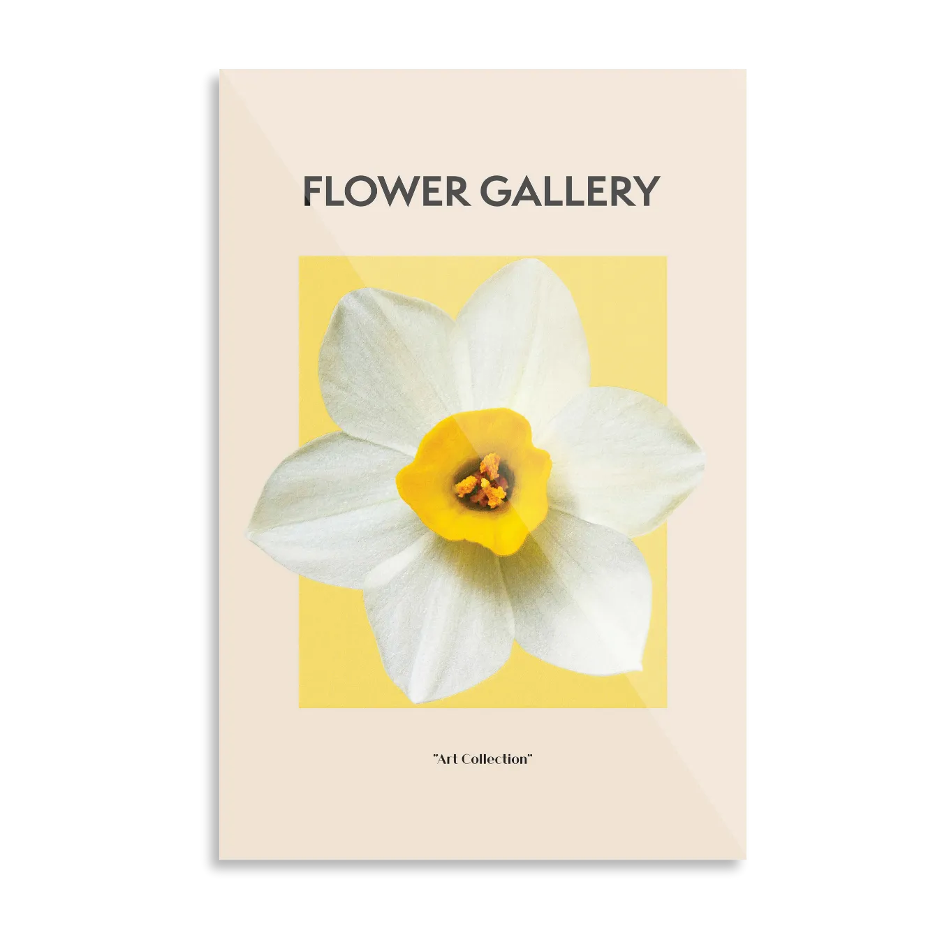 Daffodil
