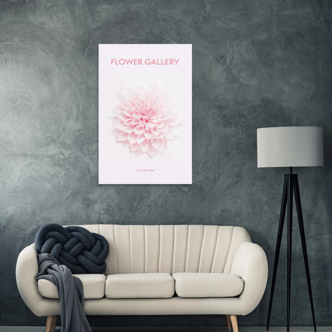Pink chrysanthemum