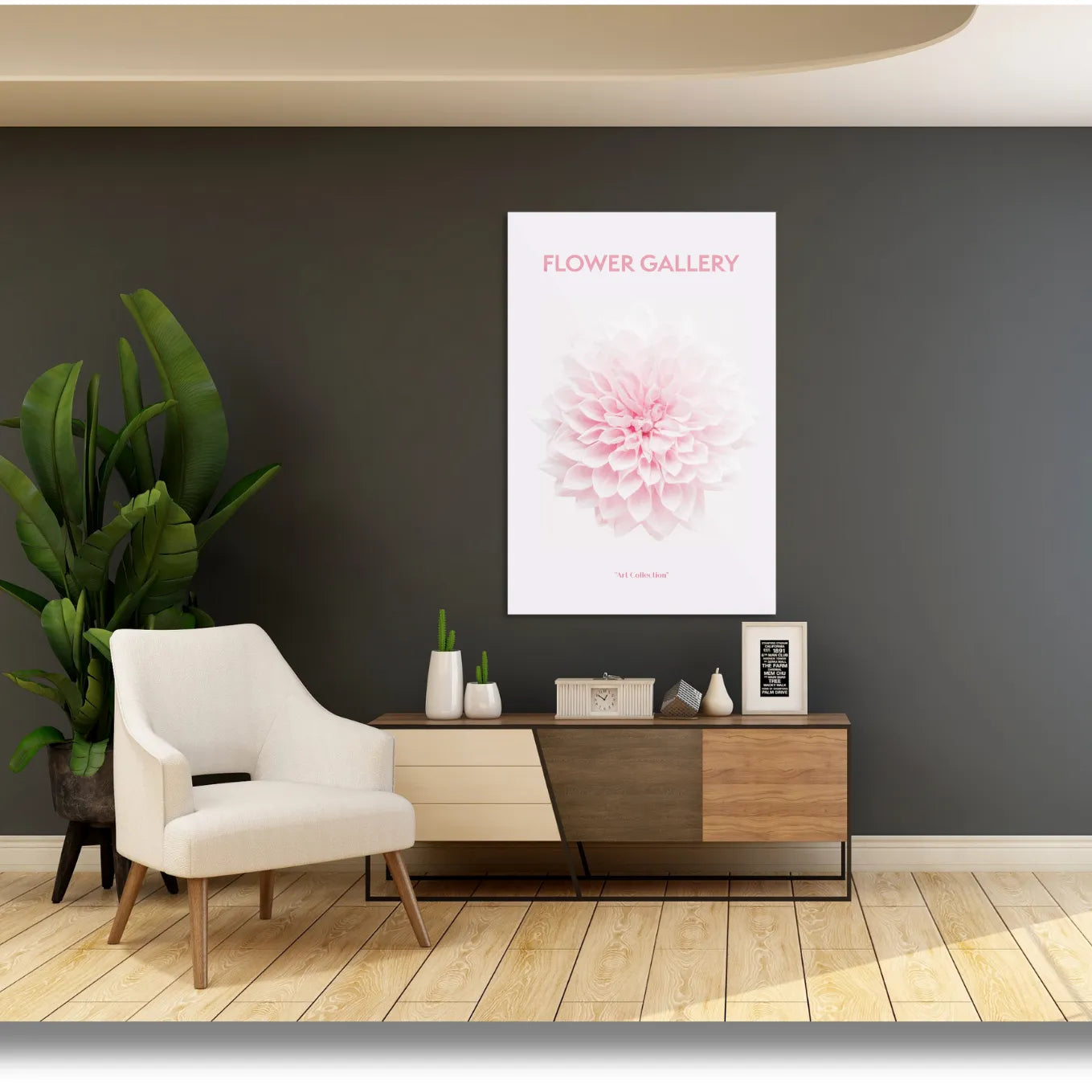 Pink chrysanthemum