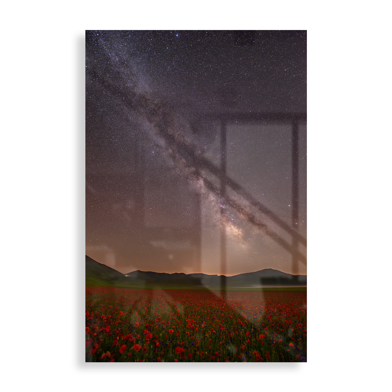 Red flower meadow