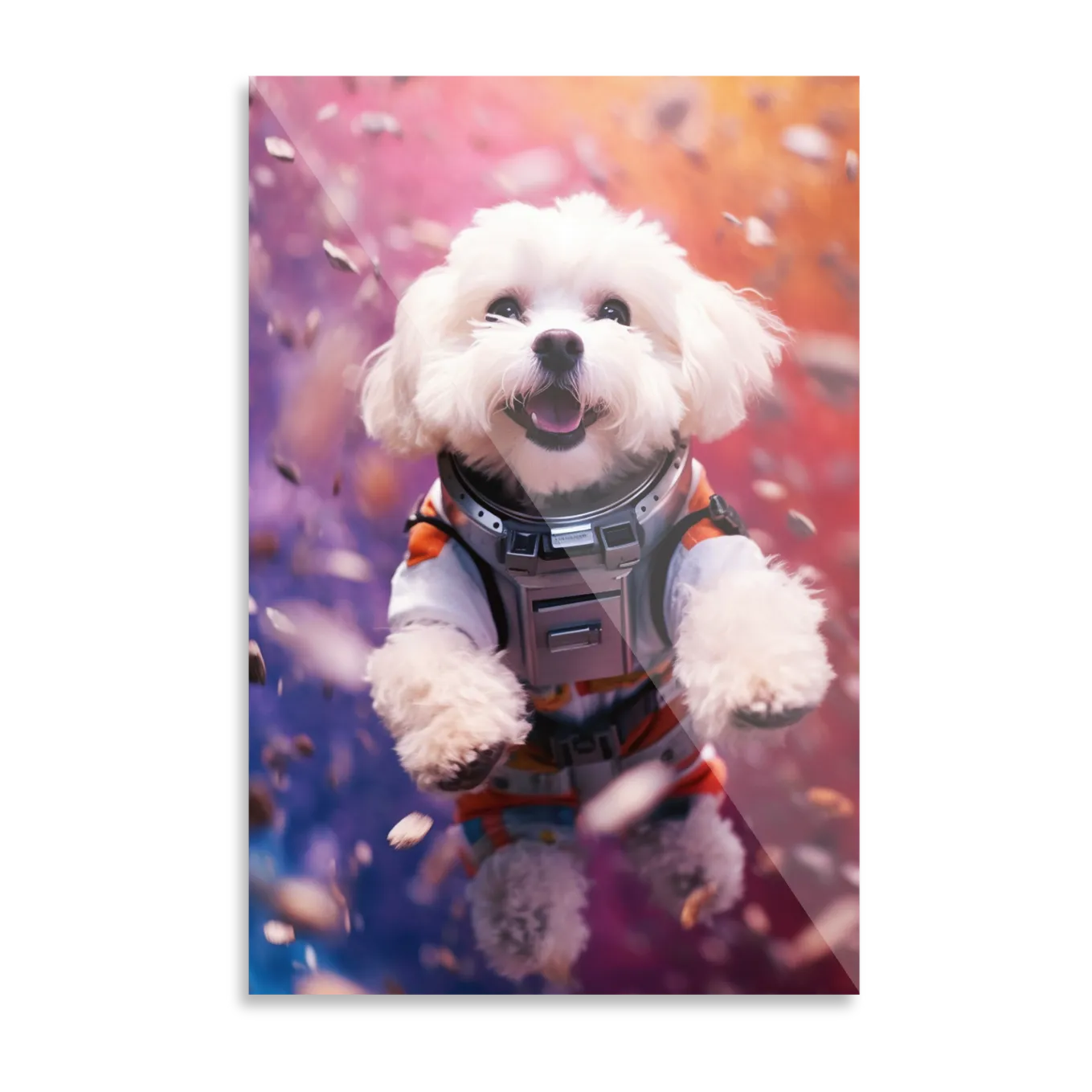 Astronaut dog