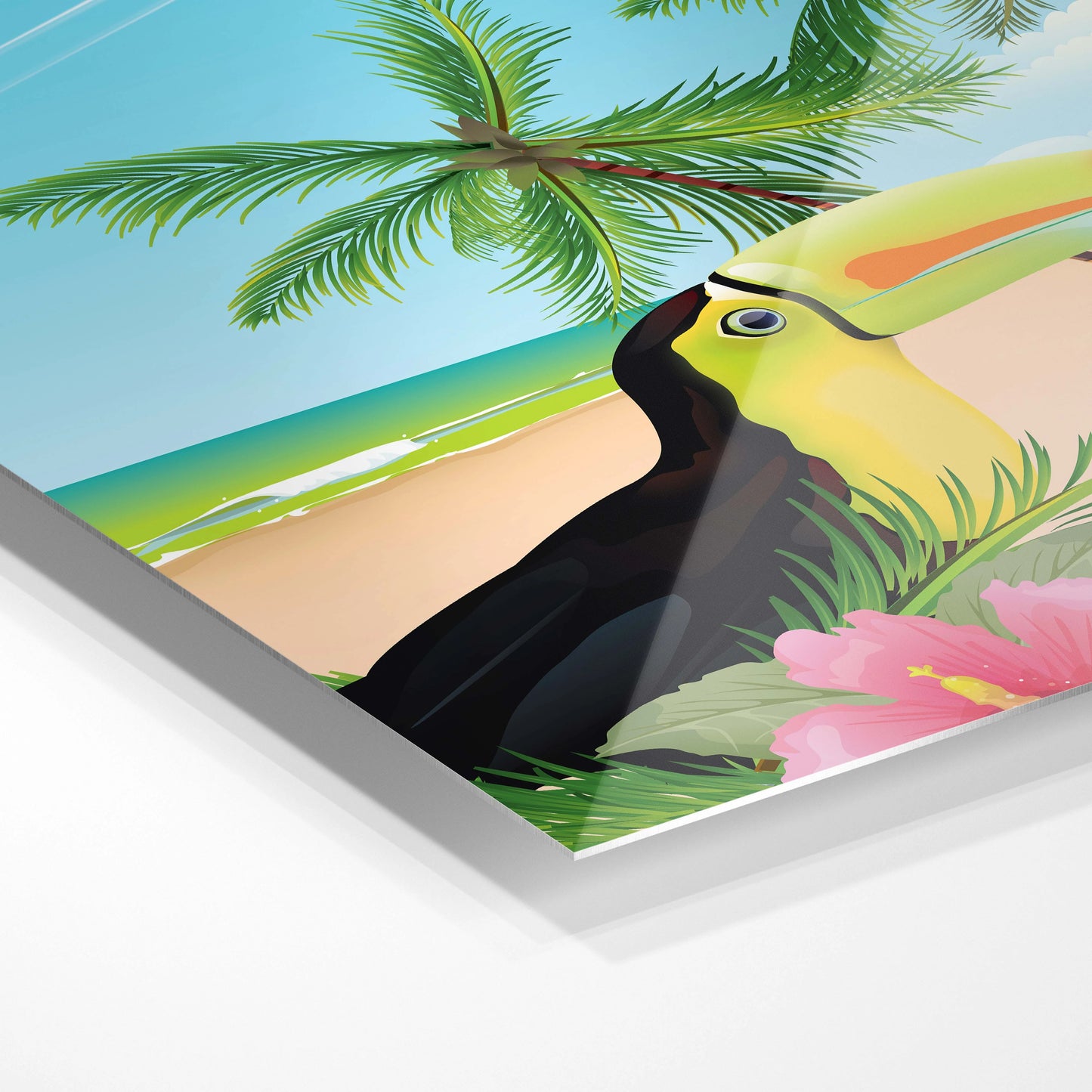 Toucan on a Beach