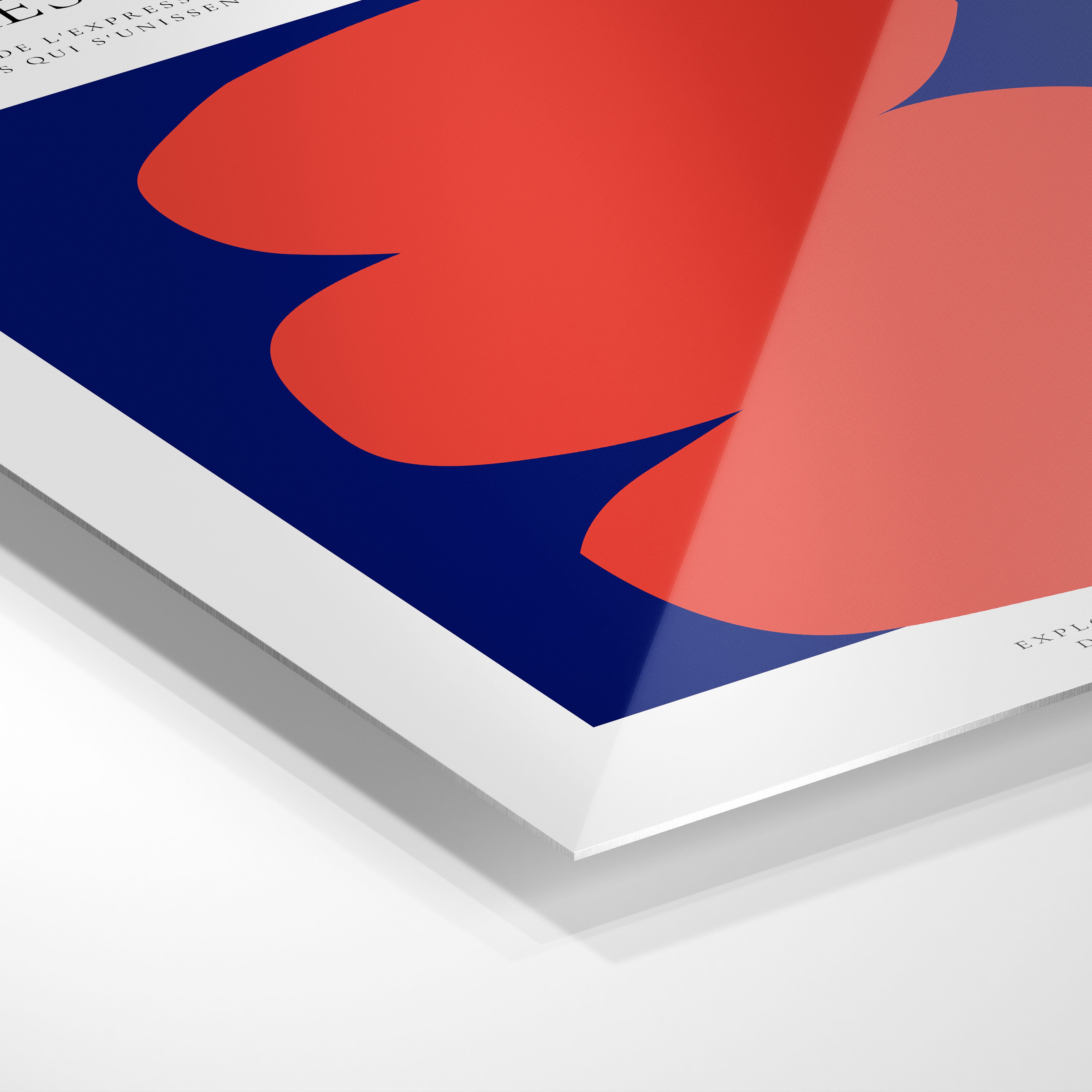 The Expression of Forms #4