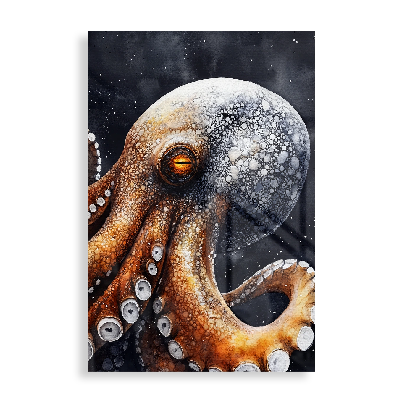 Big Octopus