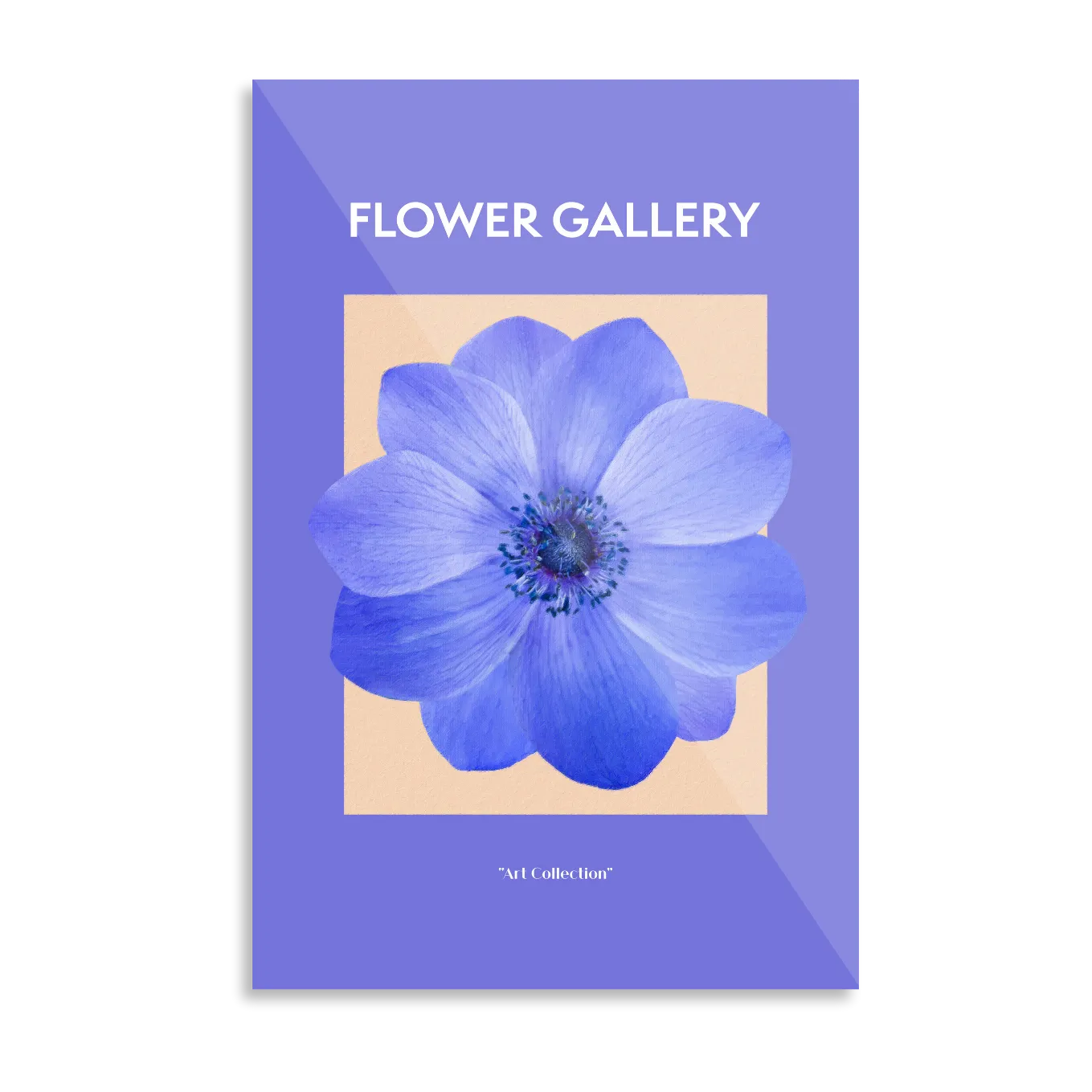 Blue anemone