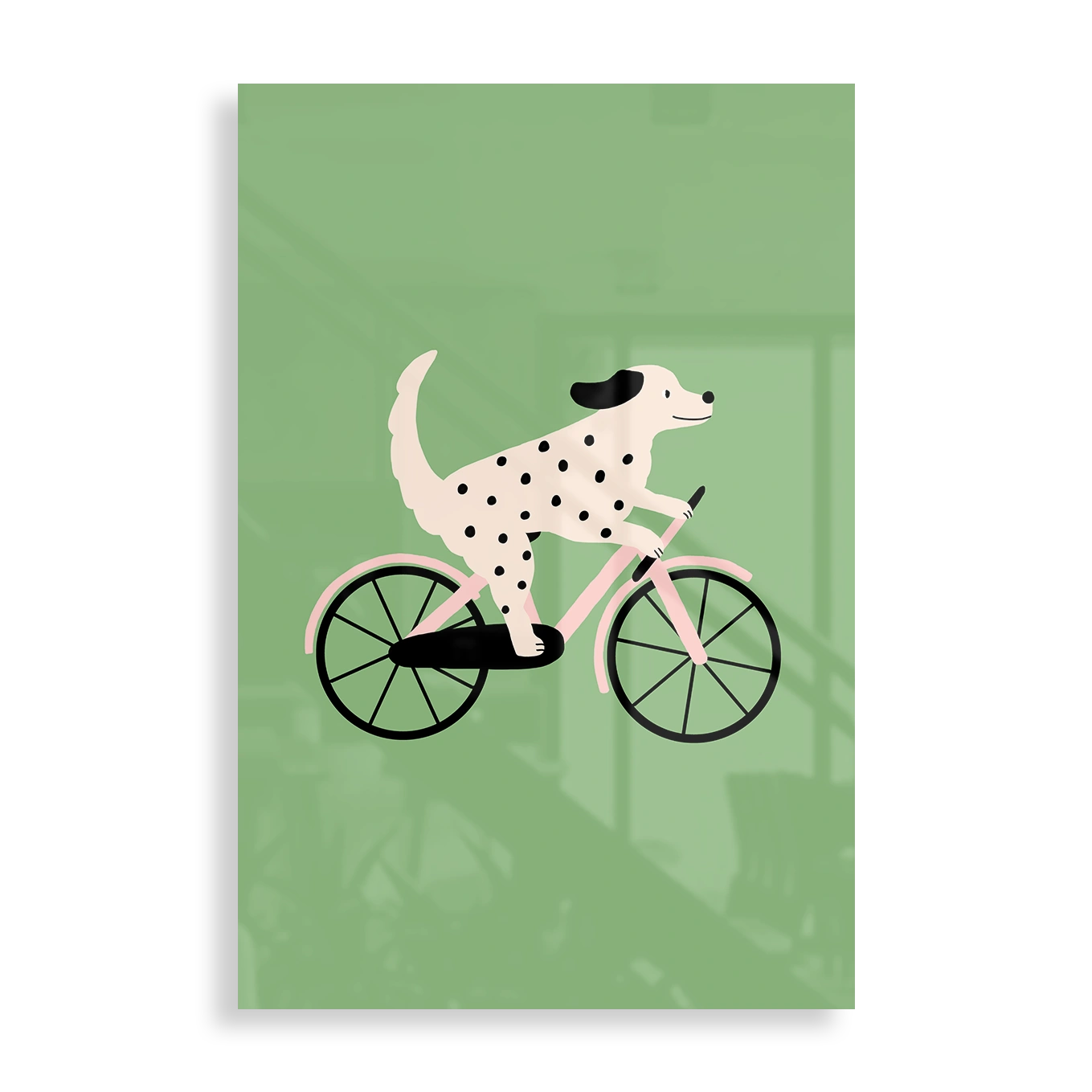 Dalmatian on a bike
