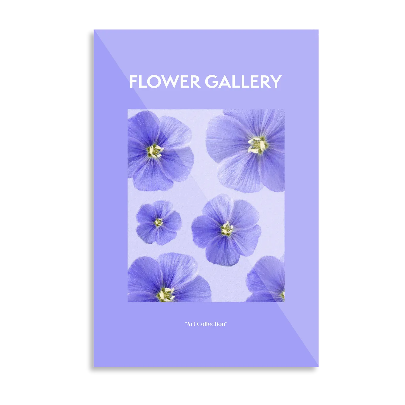 Blue-purple poppy