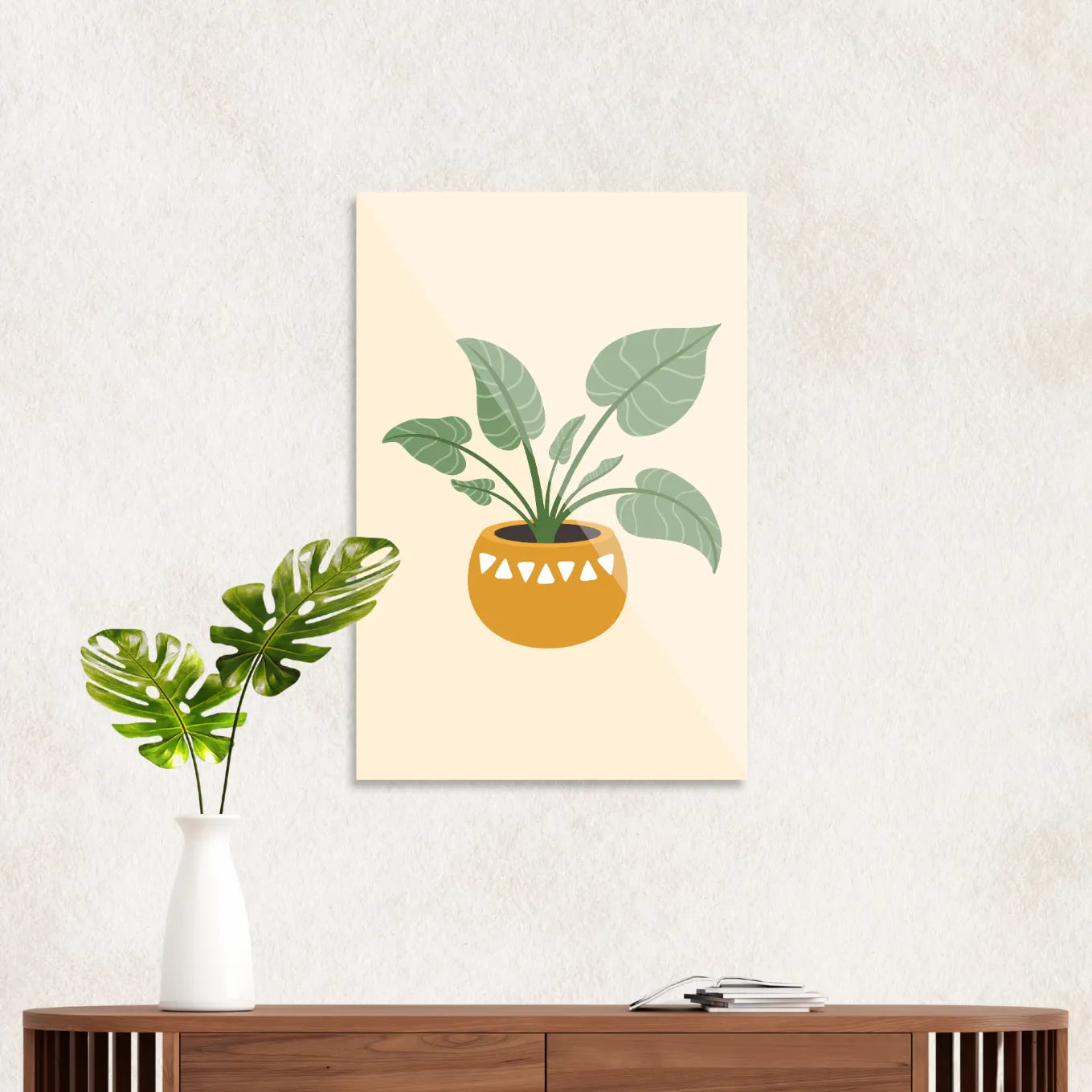 Small monstera in pot