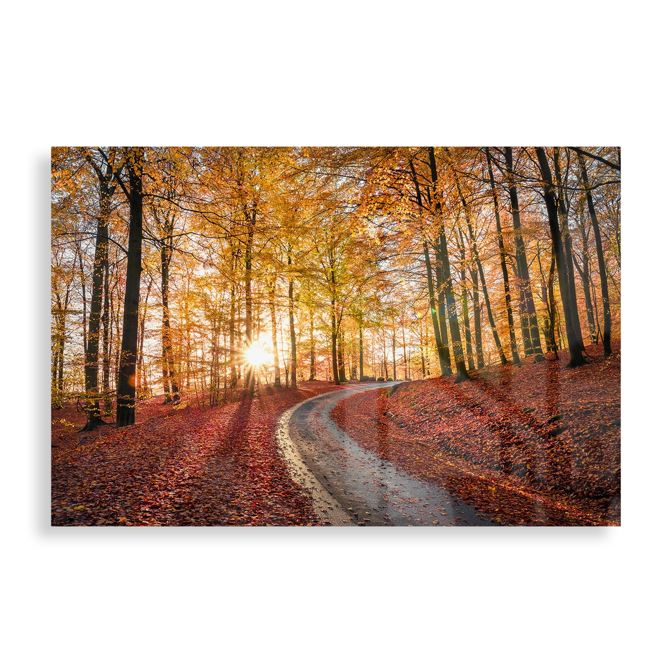 Söderåsen National Park, Sweden