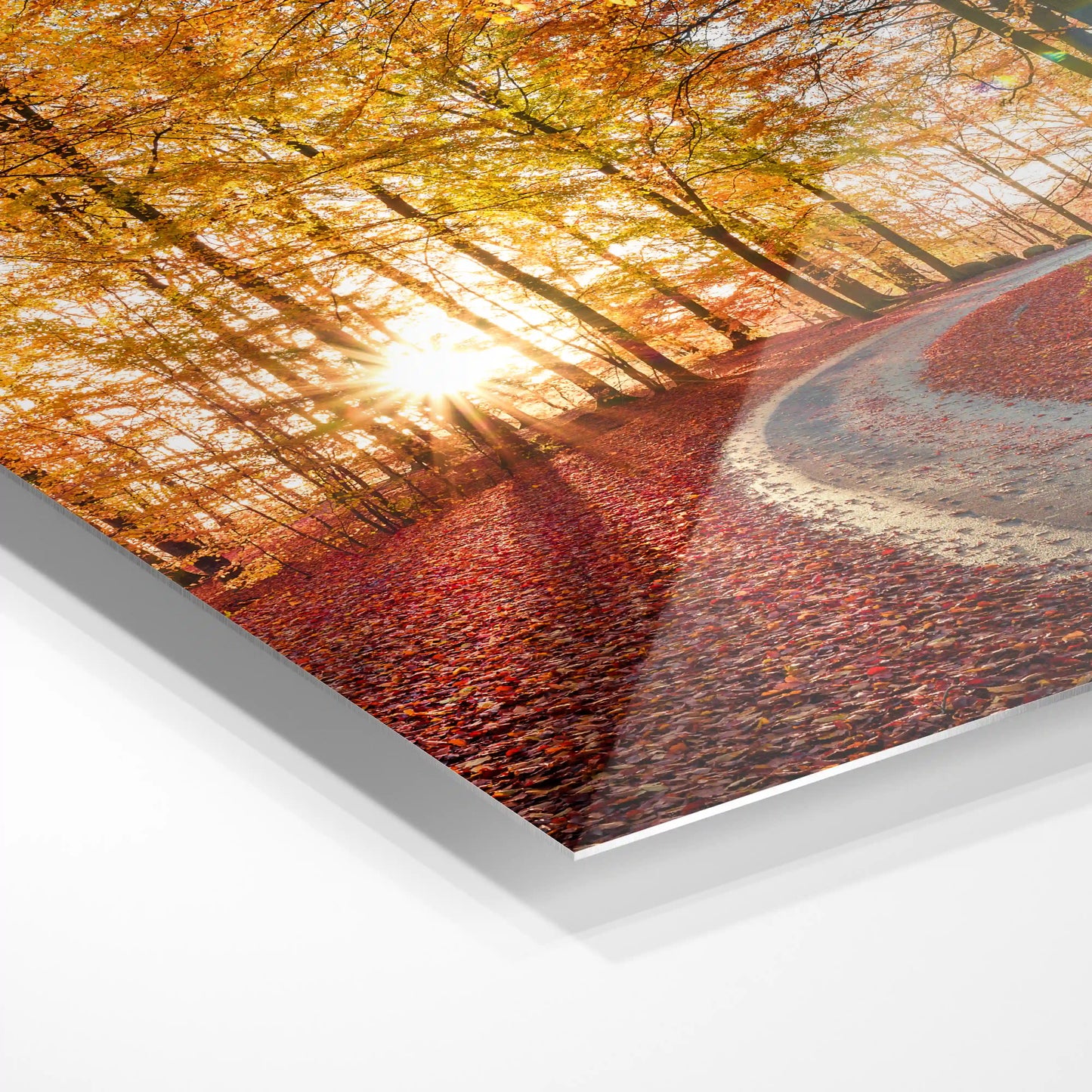 Söderåsen nationalpark, Sweden