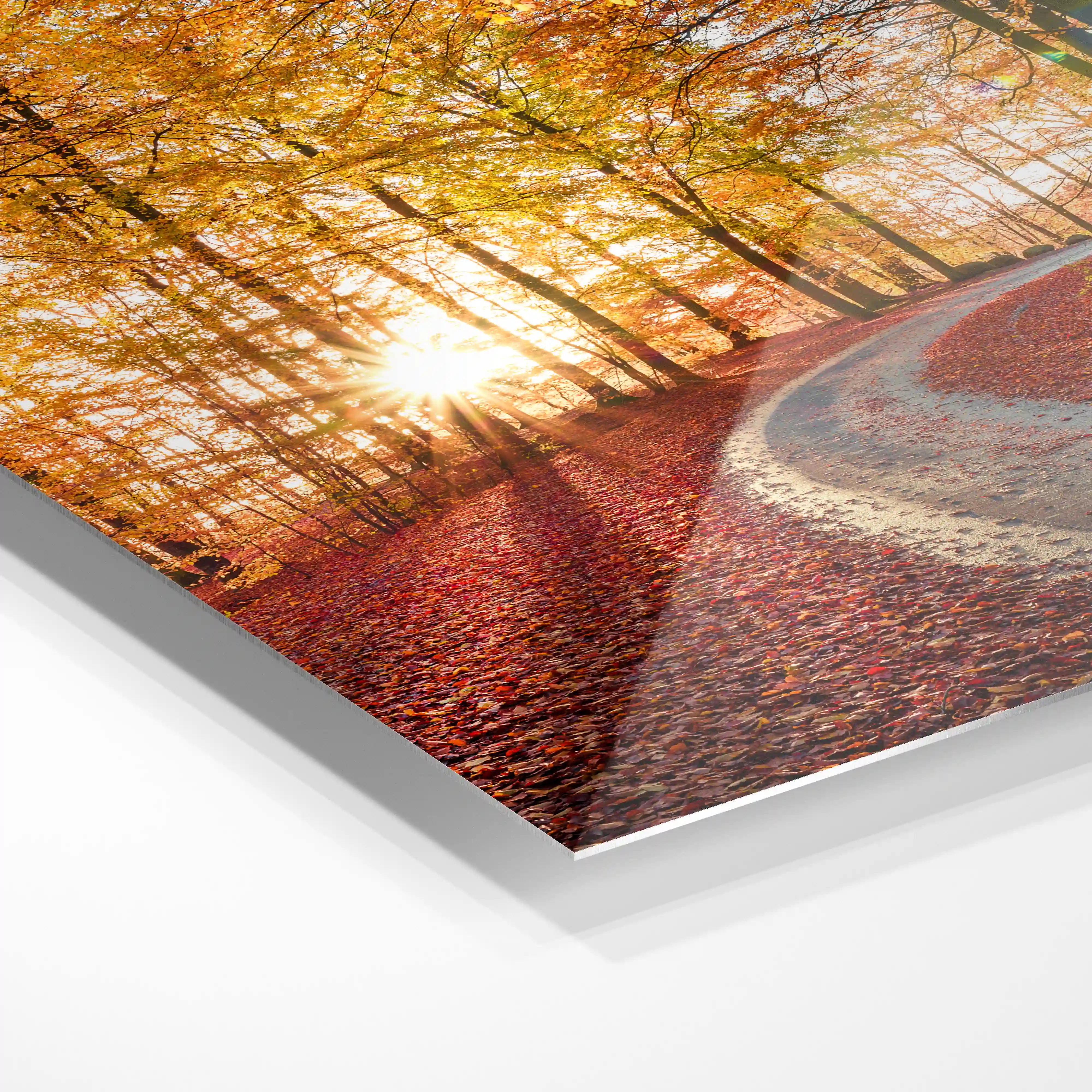 Söderåsen National Park, Sweden