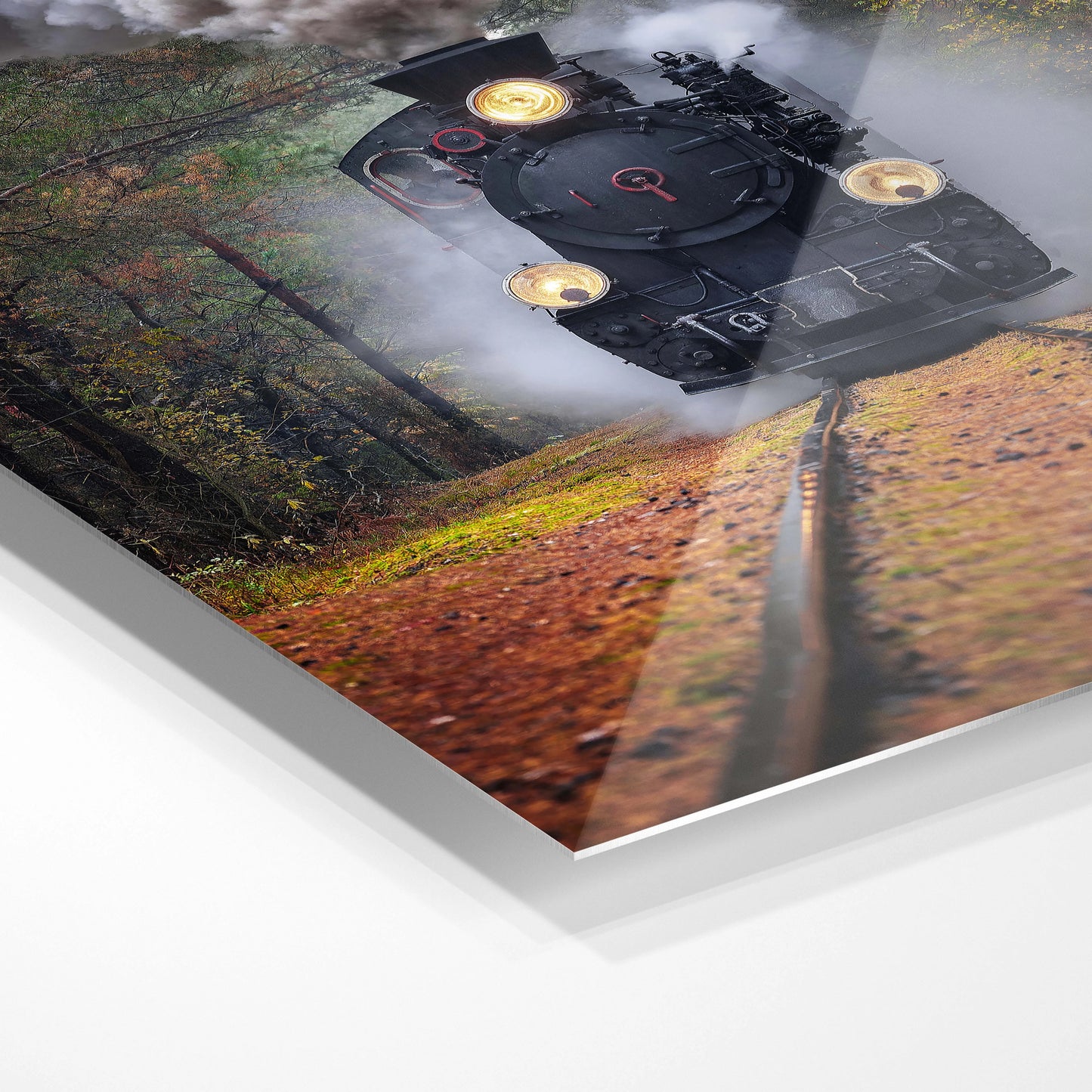 Through the autumn forest