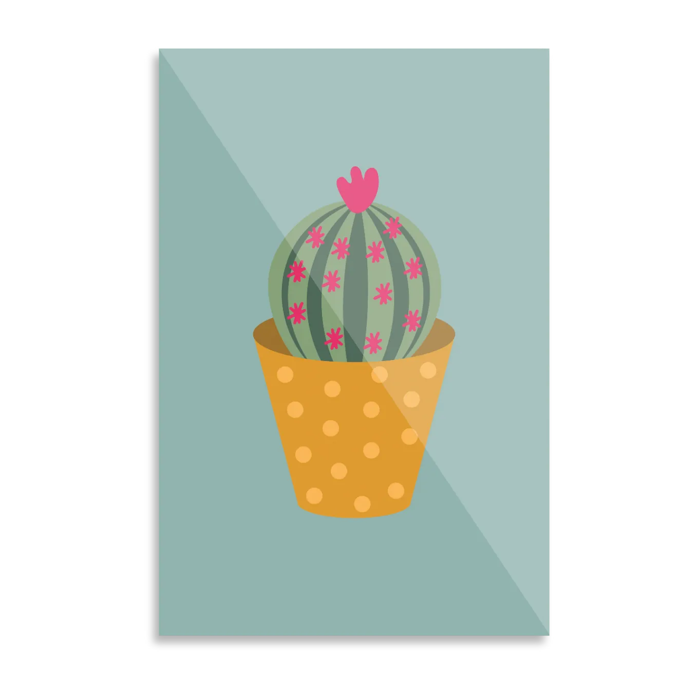 Cactus plant in pot