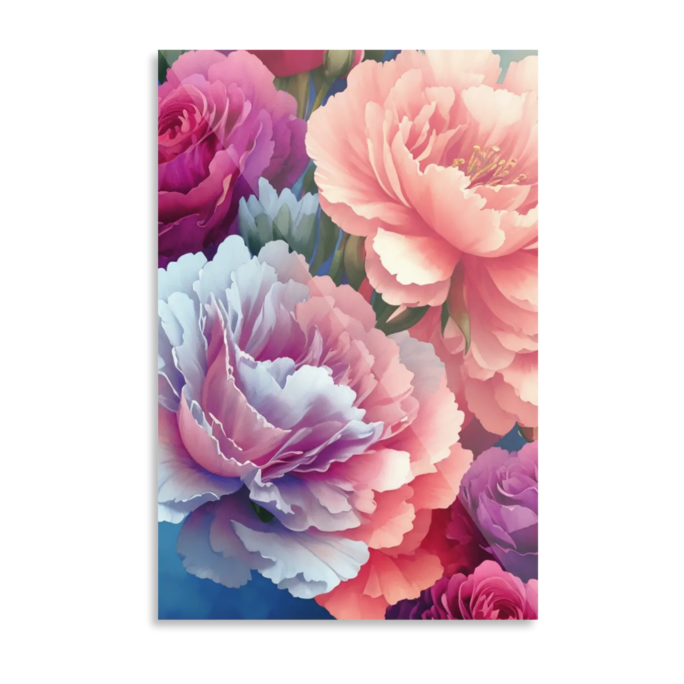 Colorful peonies