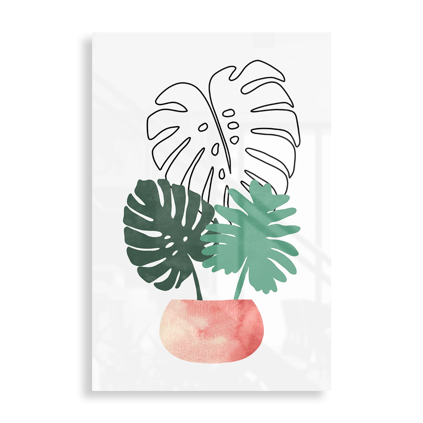 Monstera leaves