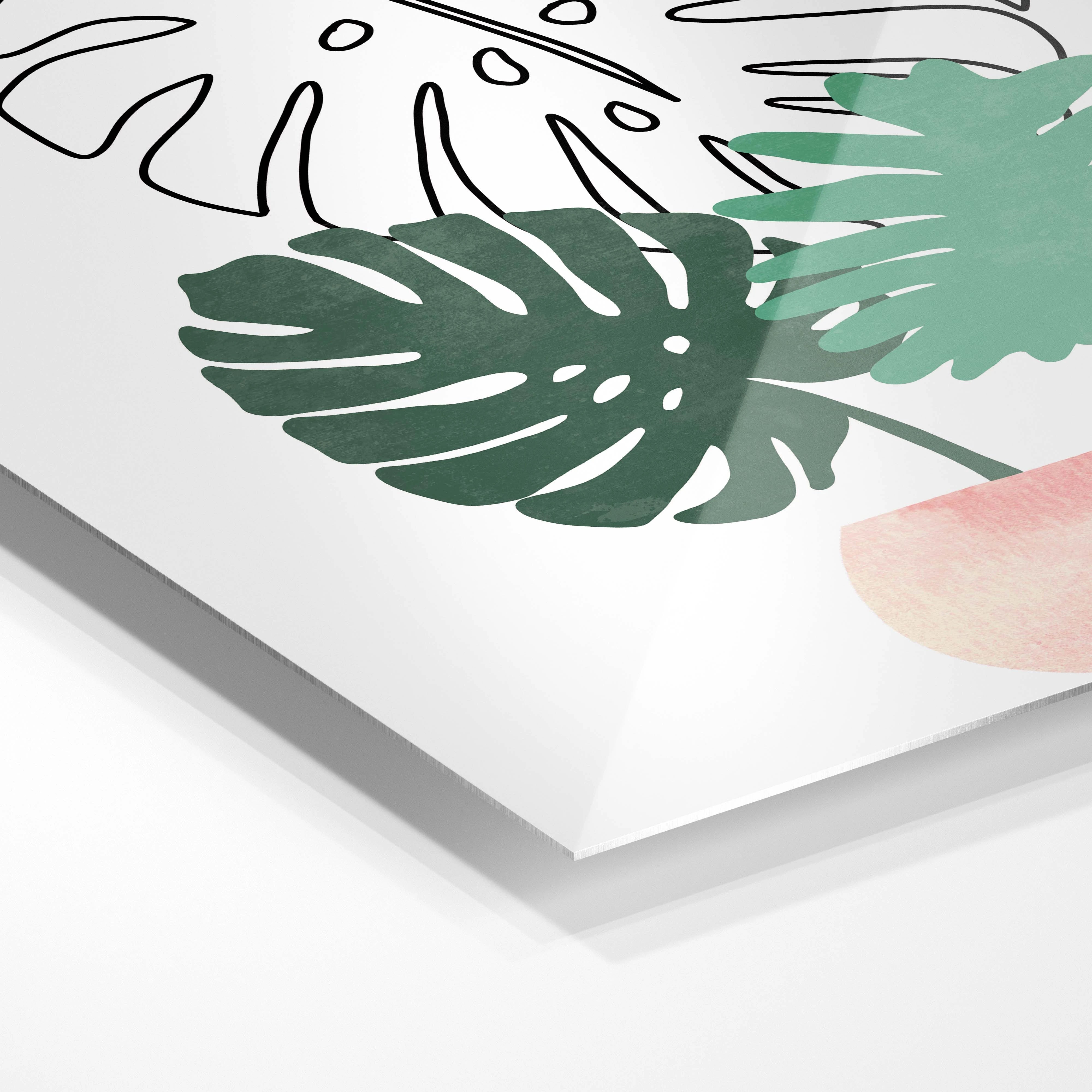 Monstera leaves