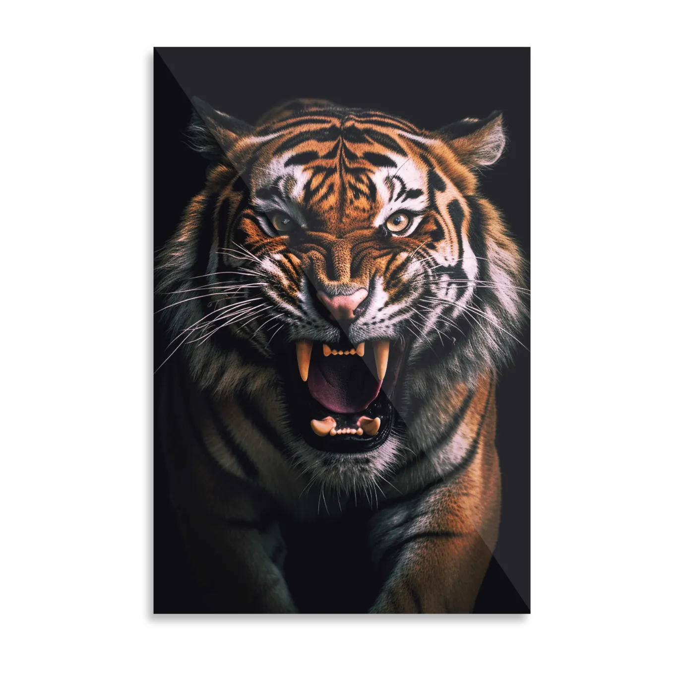 Roaring tiger