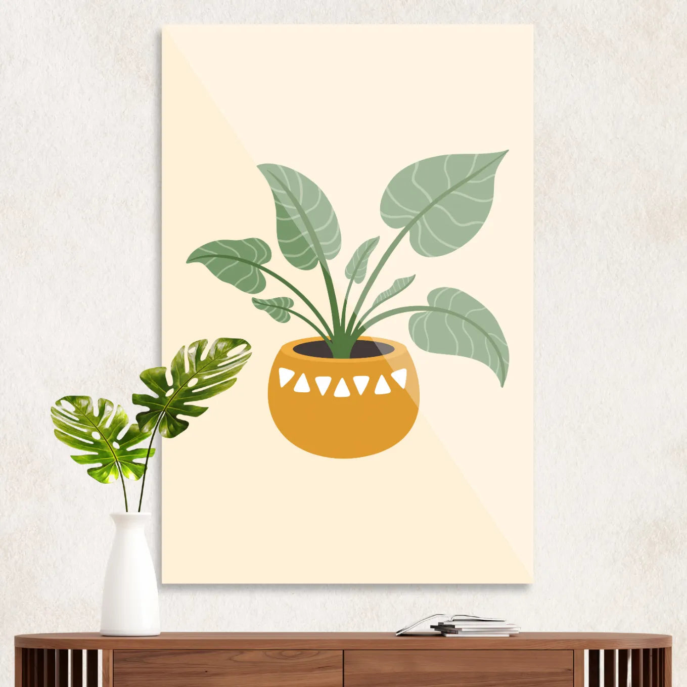 Small monstera in pot