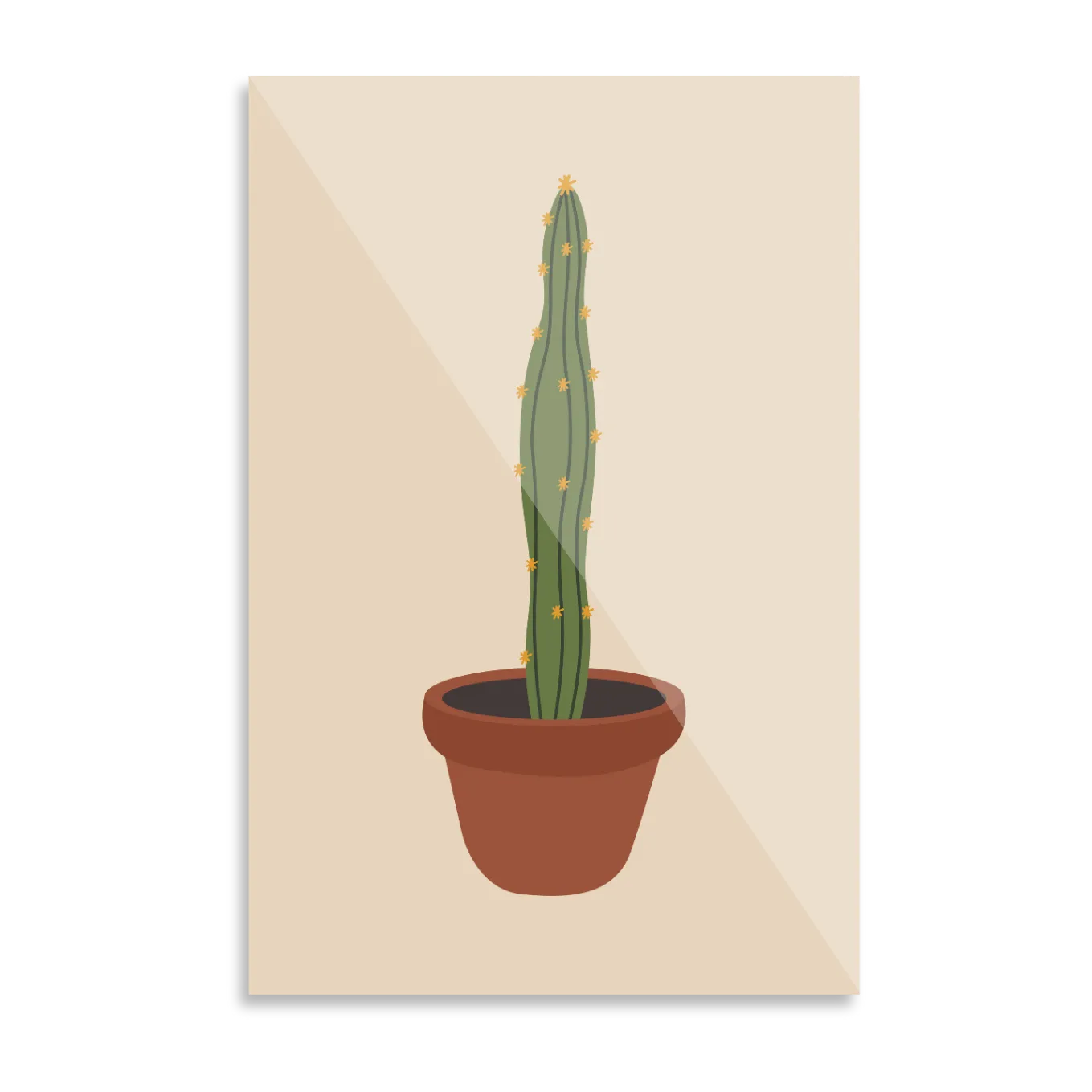 Cactus plant in pot 3
