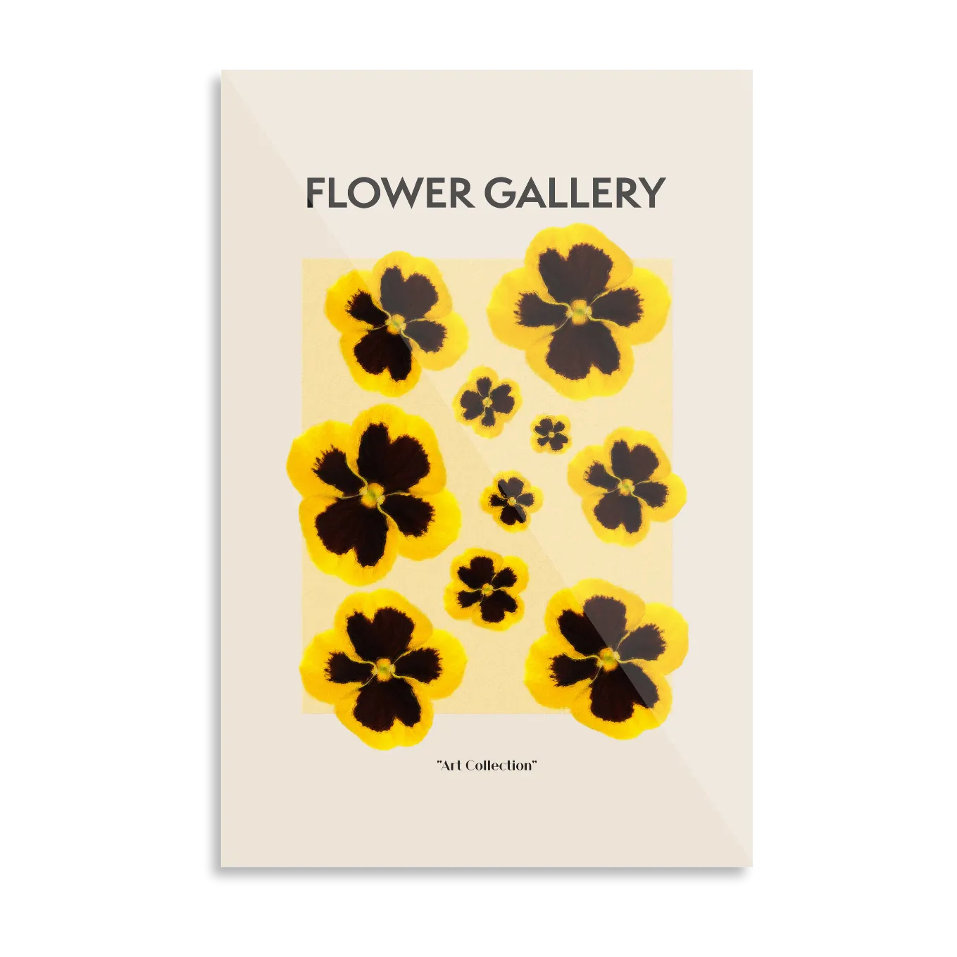 Yellow pansy
