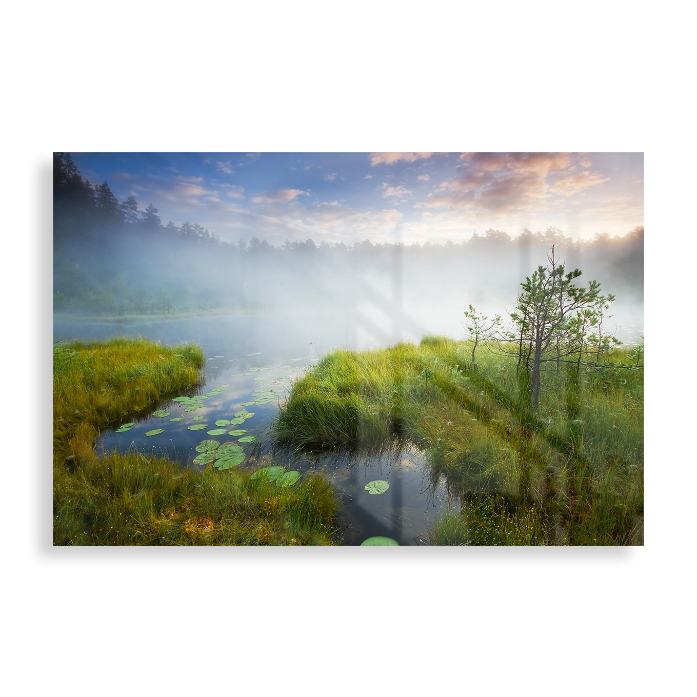 Misty lake