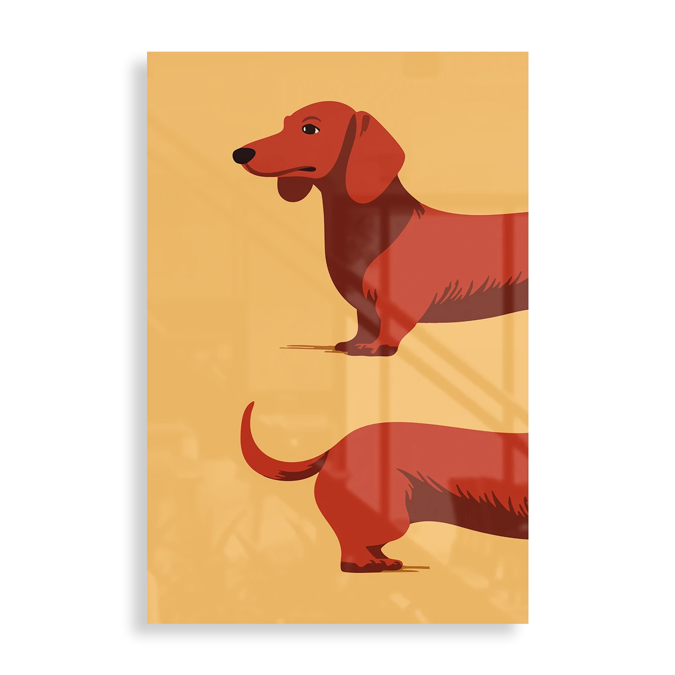 Dachshund