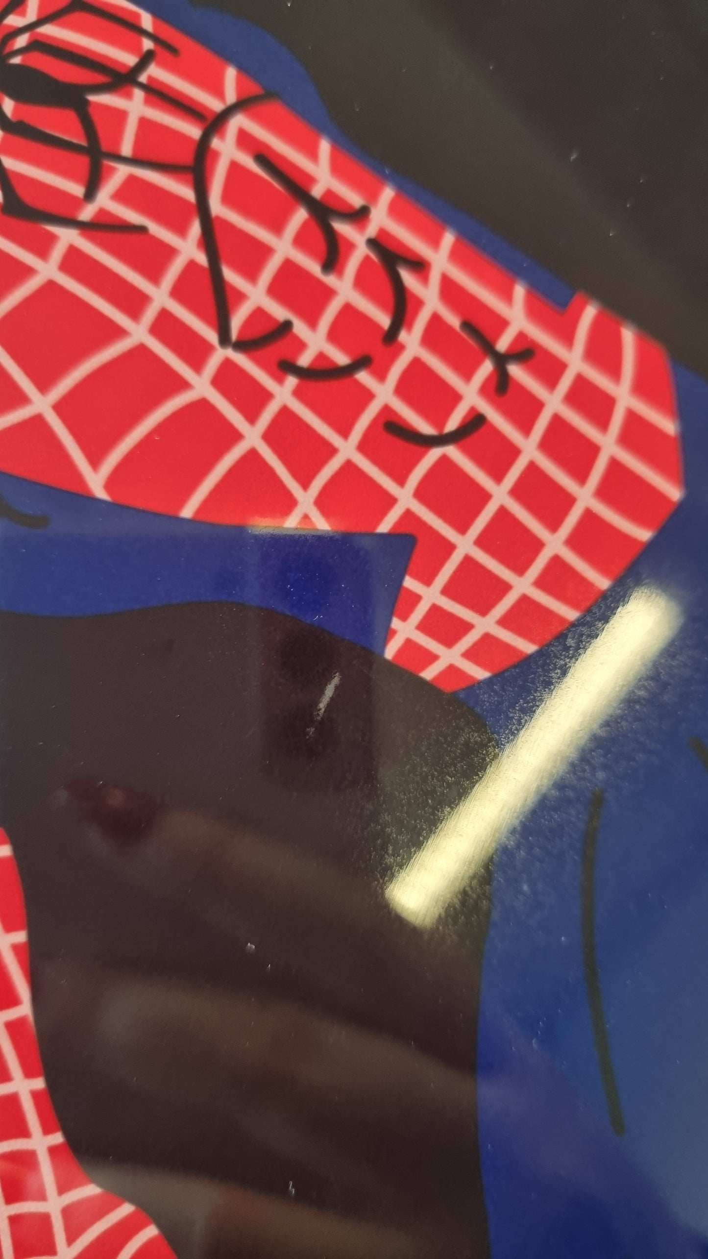 Spiderman x Nike Jordan Air