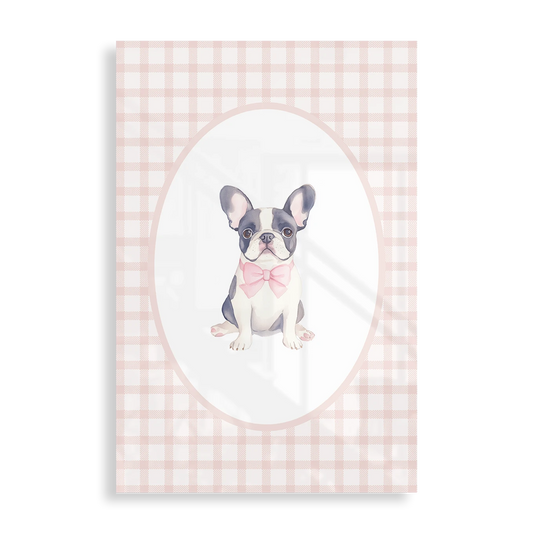 Fin French Bulldog
