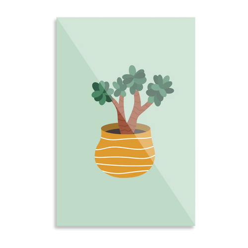 Lille plante i potte