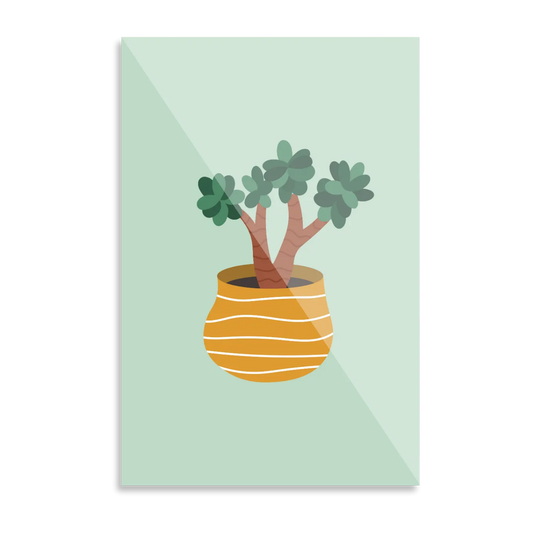 Lille plante i potte