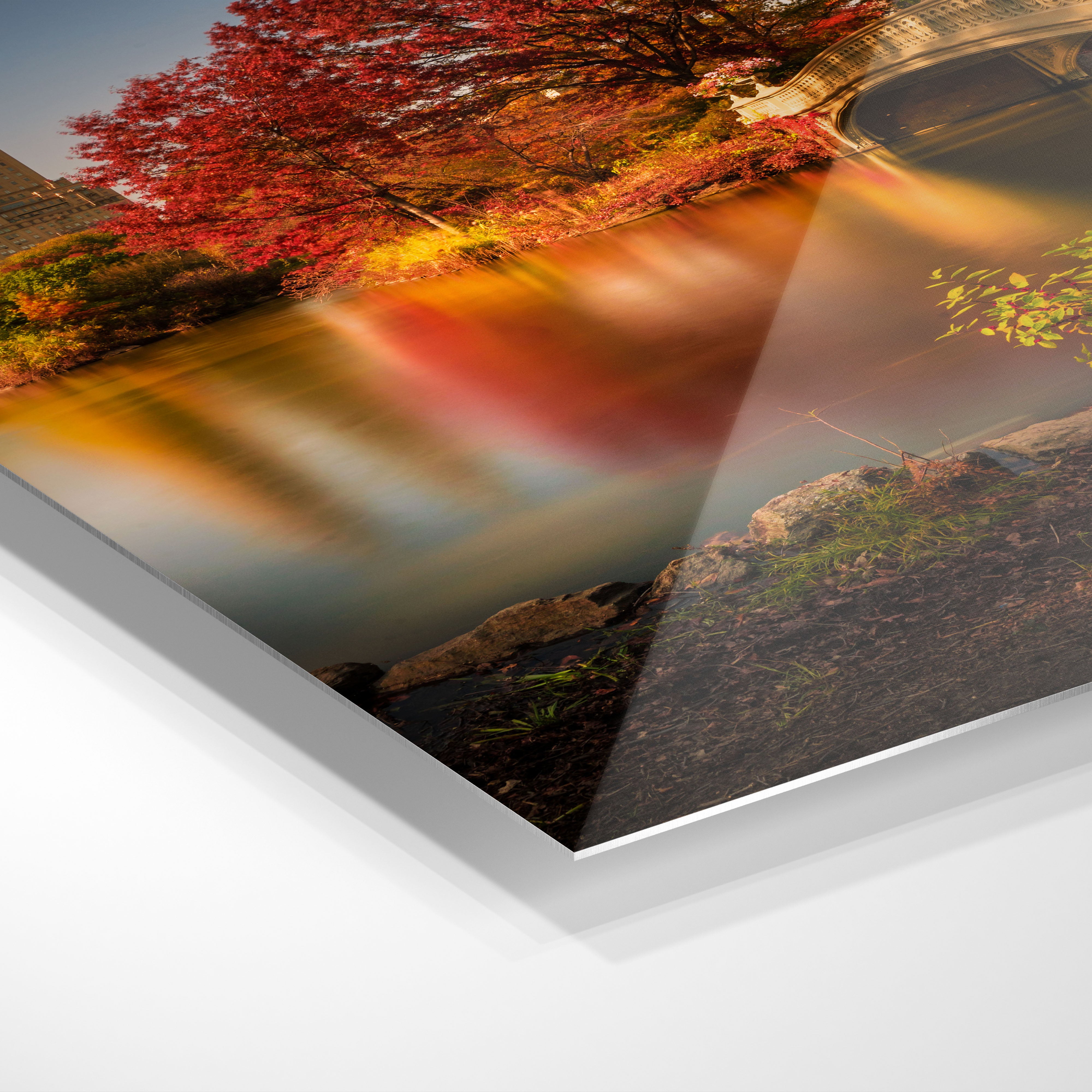 Autumn in Central Park