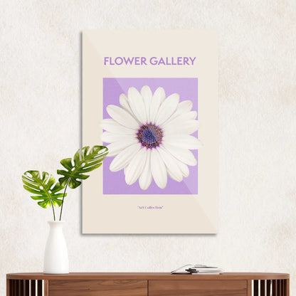 Hvid spansk marguerit