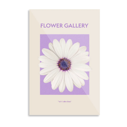 Hvid spansk marguerit