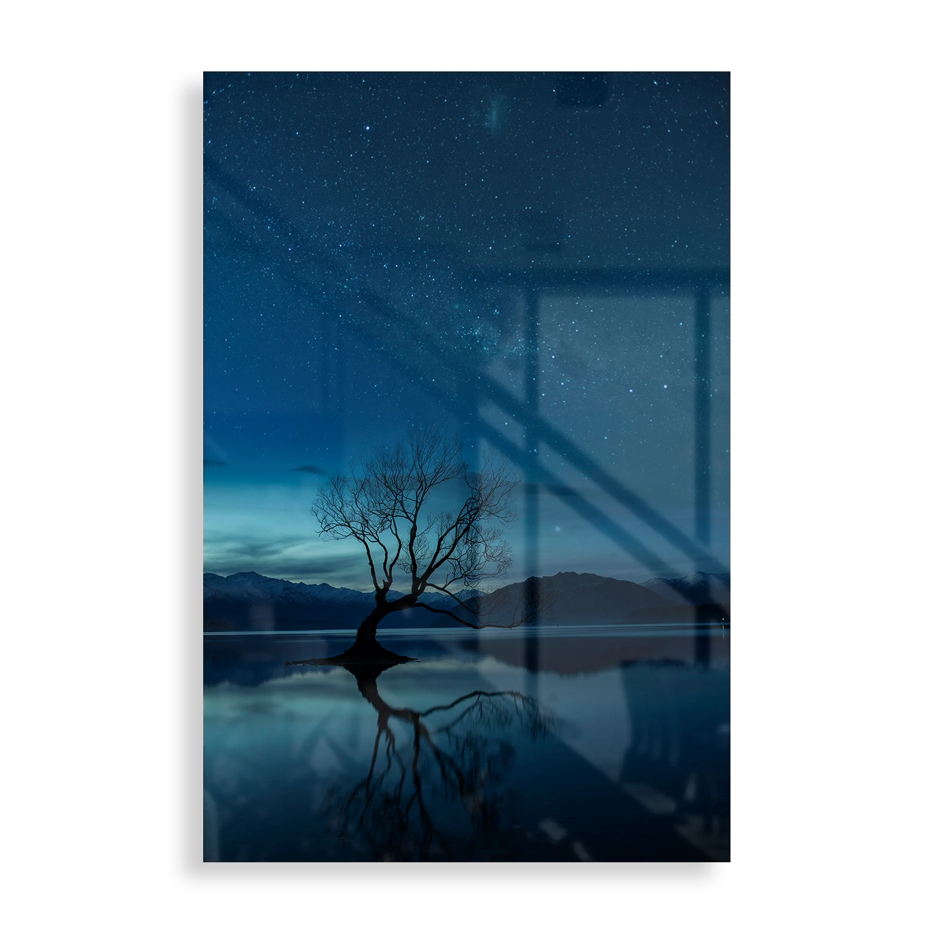 The Wanaka tree, New Zealand