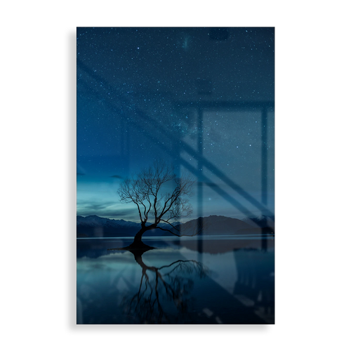 The Wanaka tree, New Zealand