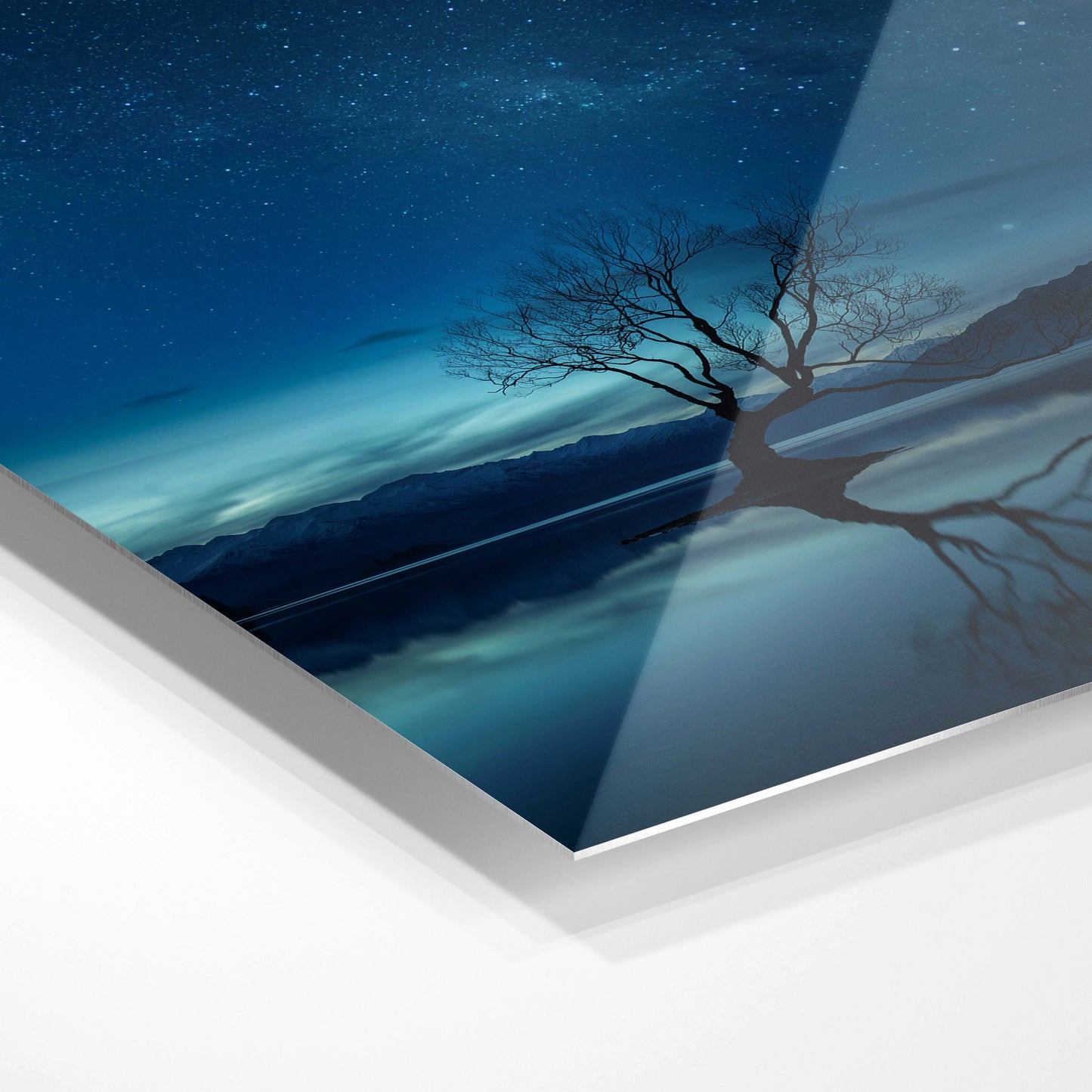 The Wanaka tree, New Zealand